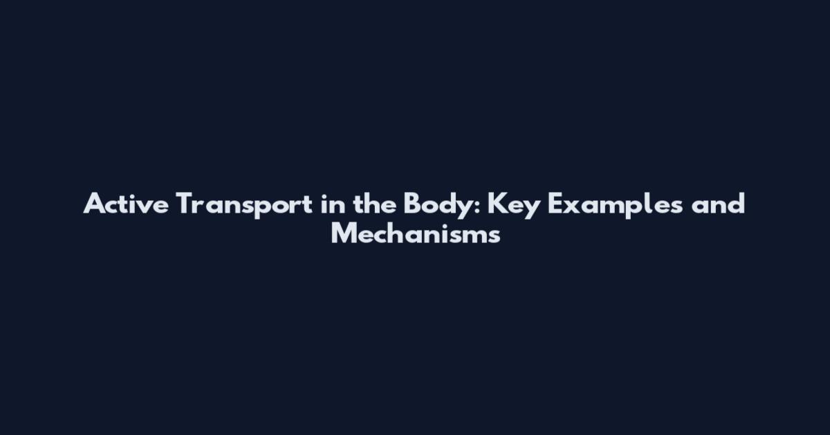 Active Transport in the Body: Key Examples and Mechanisms