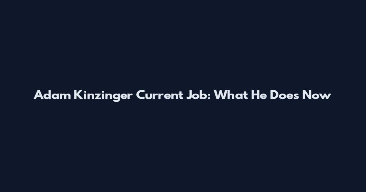 Adam Kinzinger Current Job: What He Does Now
