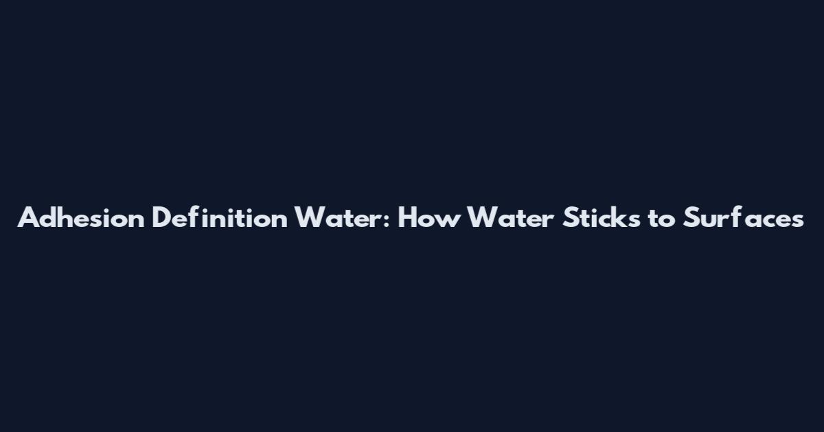 Adhesion Definition Water: How Water Sticks to Surfaces