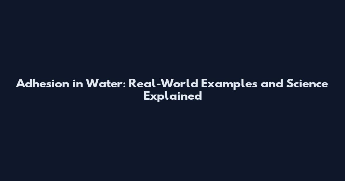 Adhesion in Water: Real-World Examples and Science Explained