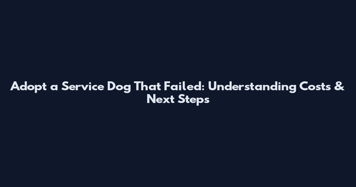 Adopt a Service Dog That Failed: Understanding Costs & Next Steps