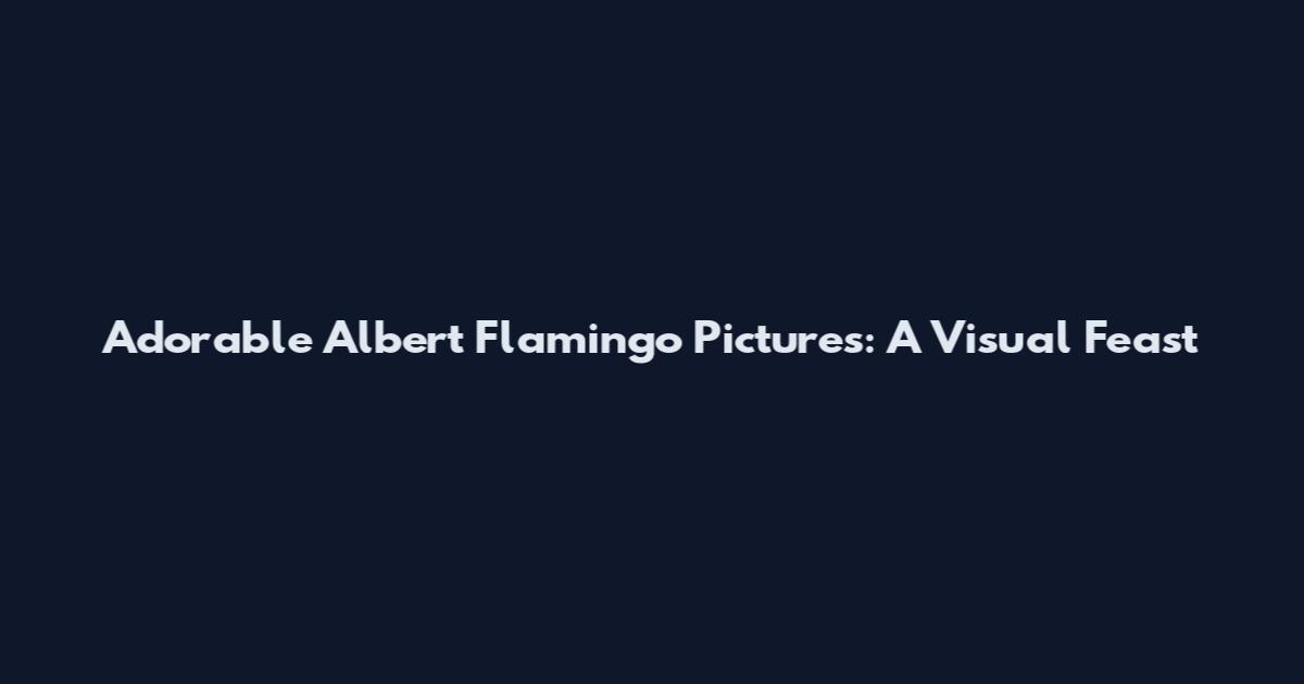 Adorable Albert Flamingo Pictures: A Visual Feast