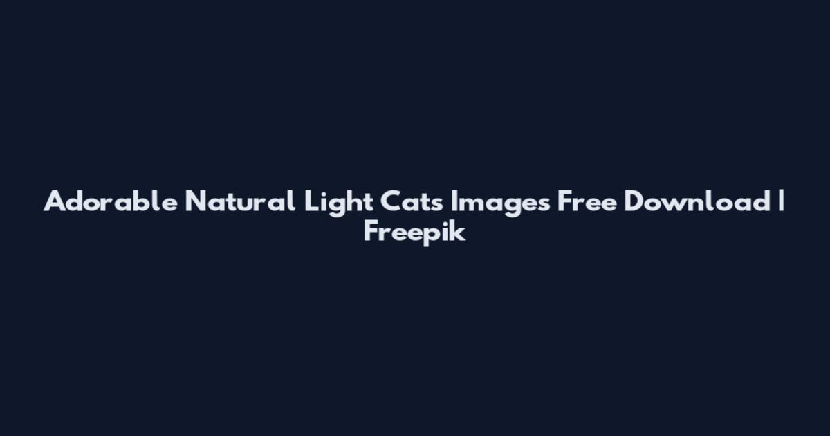 Adorable Natural Light Cats Images Free Download | Freepik