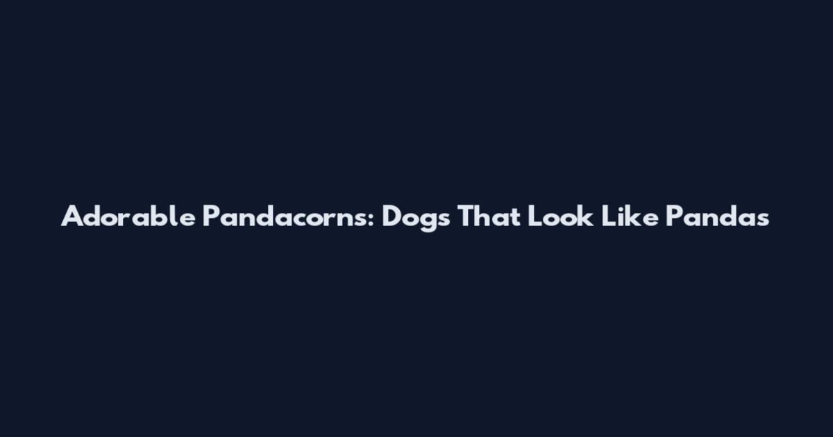 Adorable Pandacorns: Dogs That Look Like Pandas