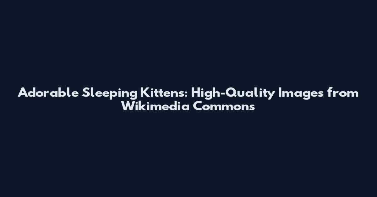 Adorable Sleeping Kittens: High-Quality Images from Wikimedia Commons