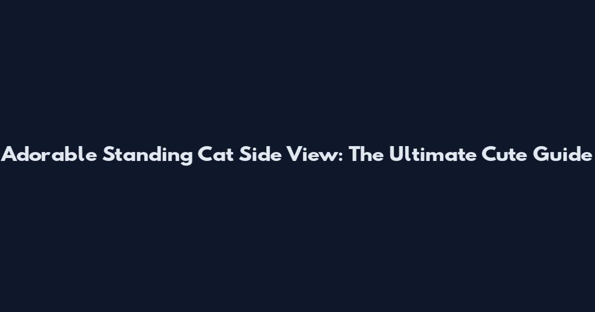 Adorable Standing Cat Side View: The Ultimate Cute Guide