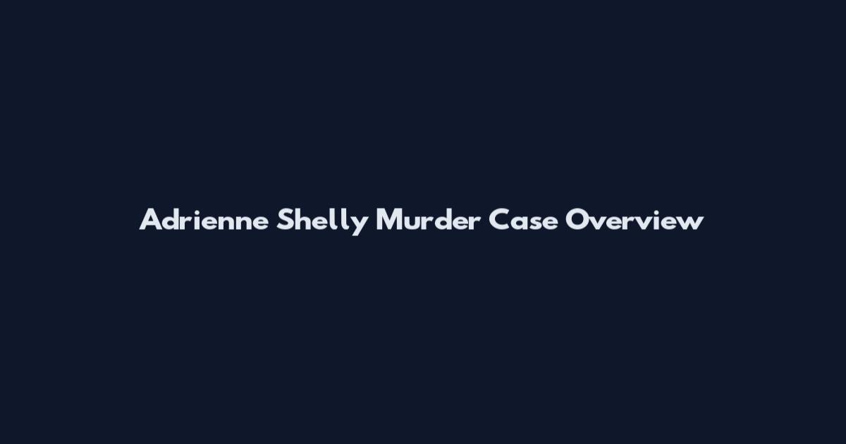 Adrienne Shelly Murder Case Overview