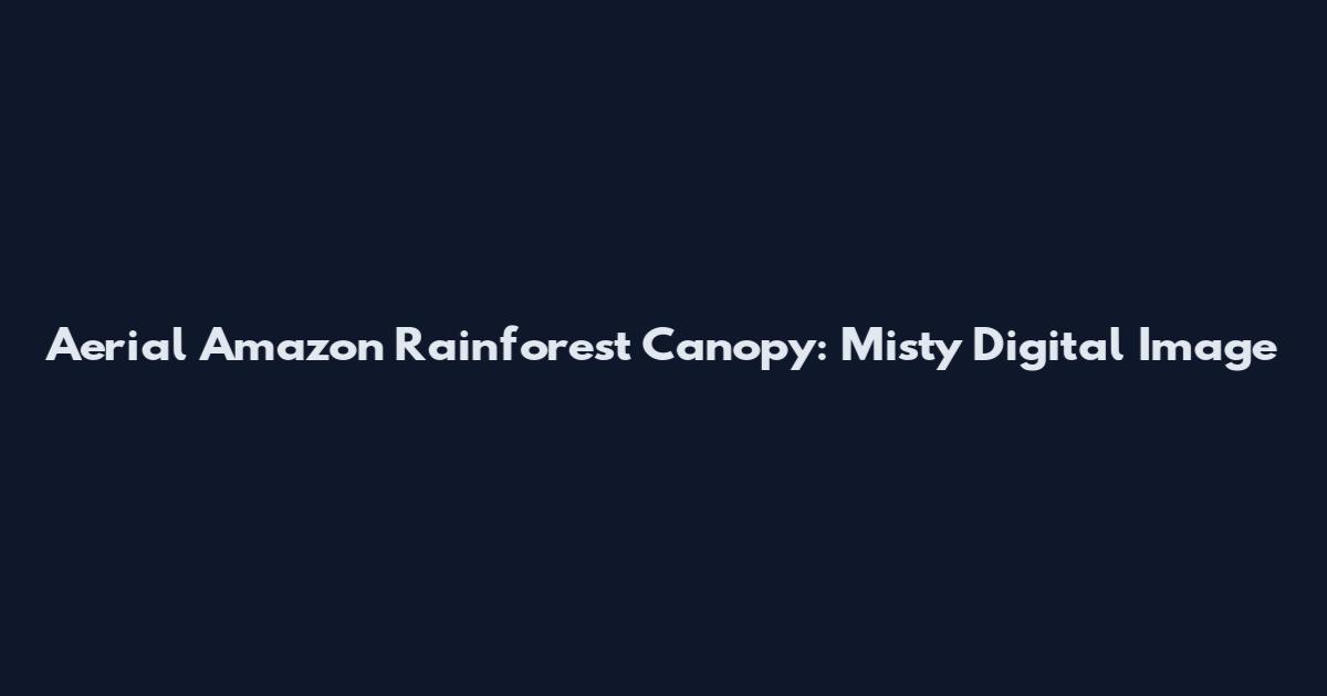 Aerial Amazon Rainforest Canopy: Misty Digital Image