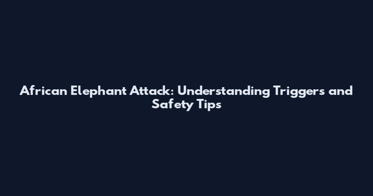 African Elephant Attack: Understanding Triggers and Safety Tips