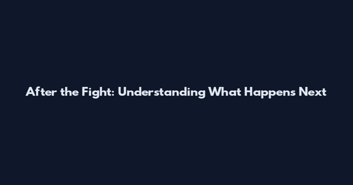 After the Fight: Understanding What Happens Next