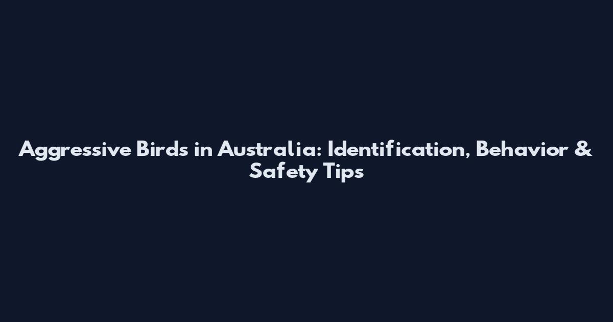 Aggressive Birds in Australia: Identification, Behavior & Safety Tips