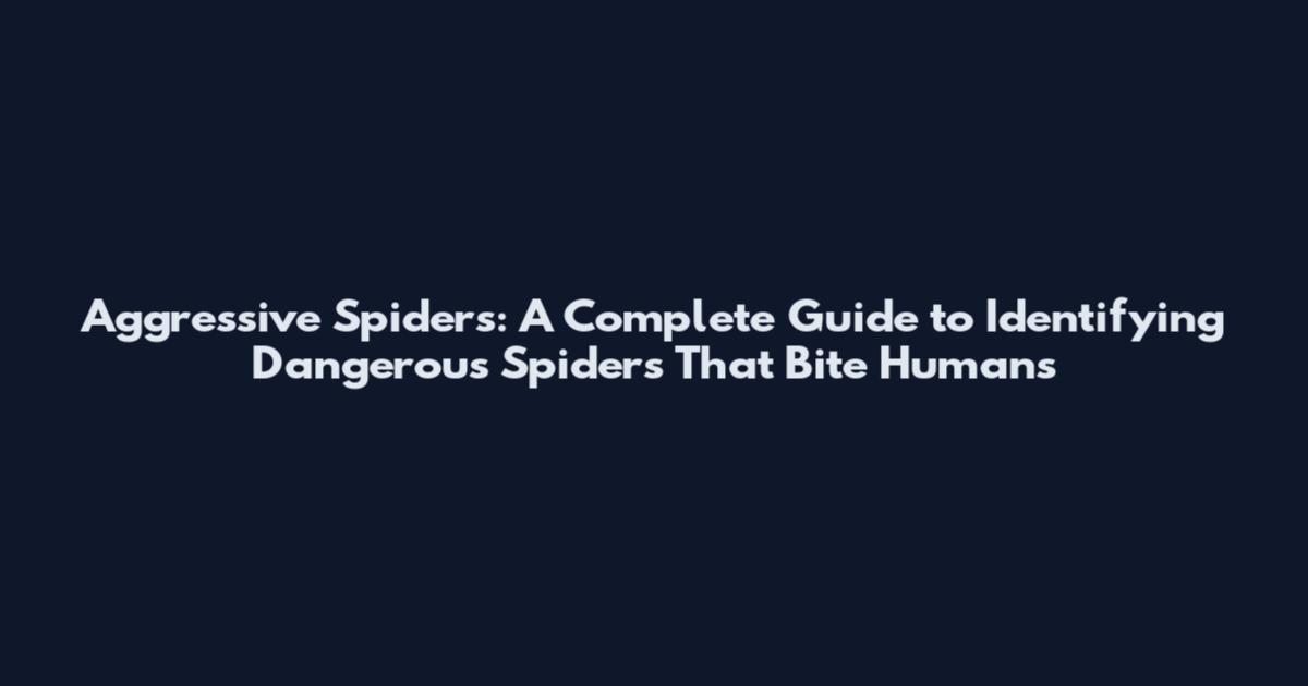 Aggressive Spiders: A Complete Guide to Identifying Dangerous Spiders That Bite Humans