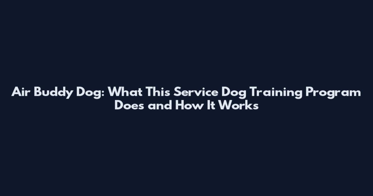 Air Buddy Dog: What This Service Dog Training Program Does and How It Works