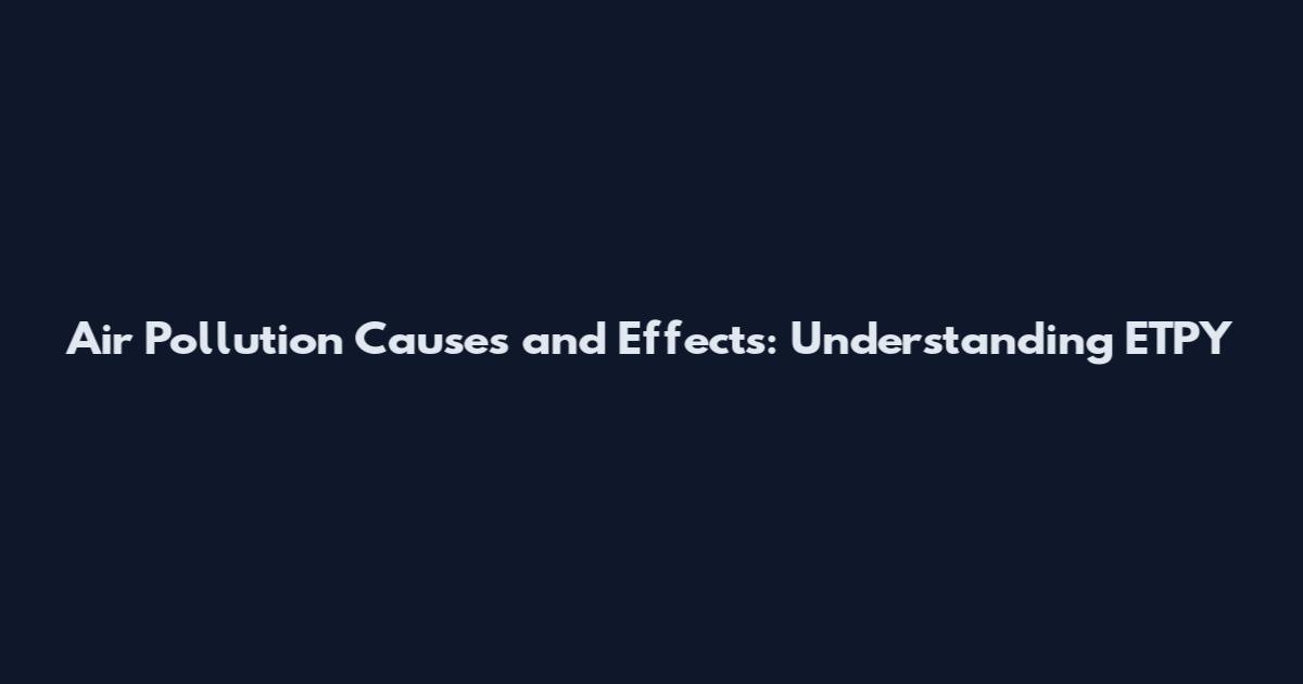 Air Pollution Causes and Effects: Understanding ETPY