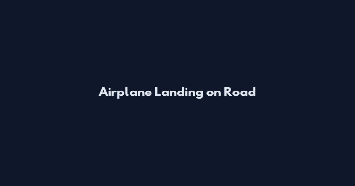 Airplane Landing on Road