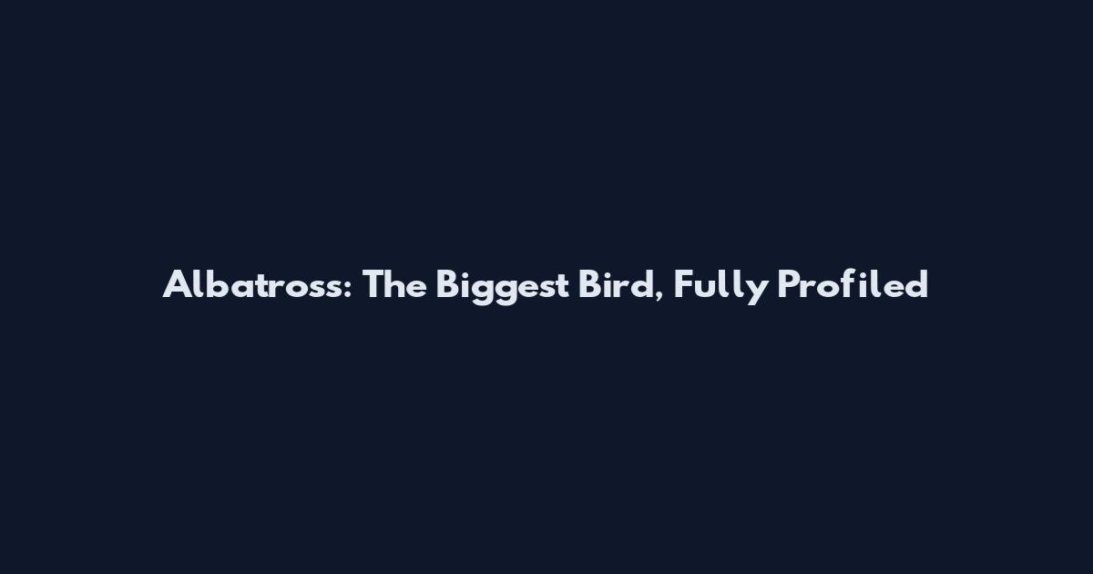 Albatross: The Biggest Bird, Fully Profiled