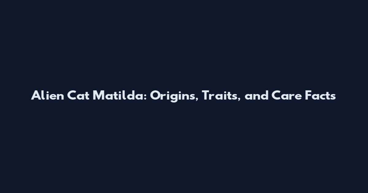 Alien Cat Matilda: Origins, Traits, and Care Facts