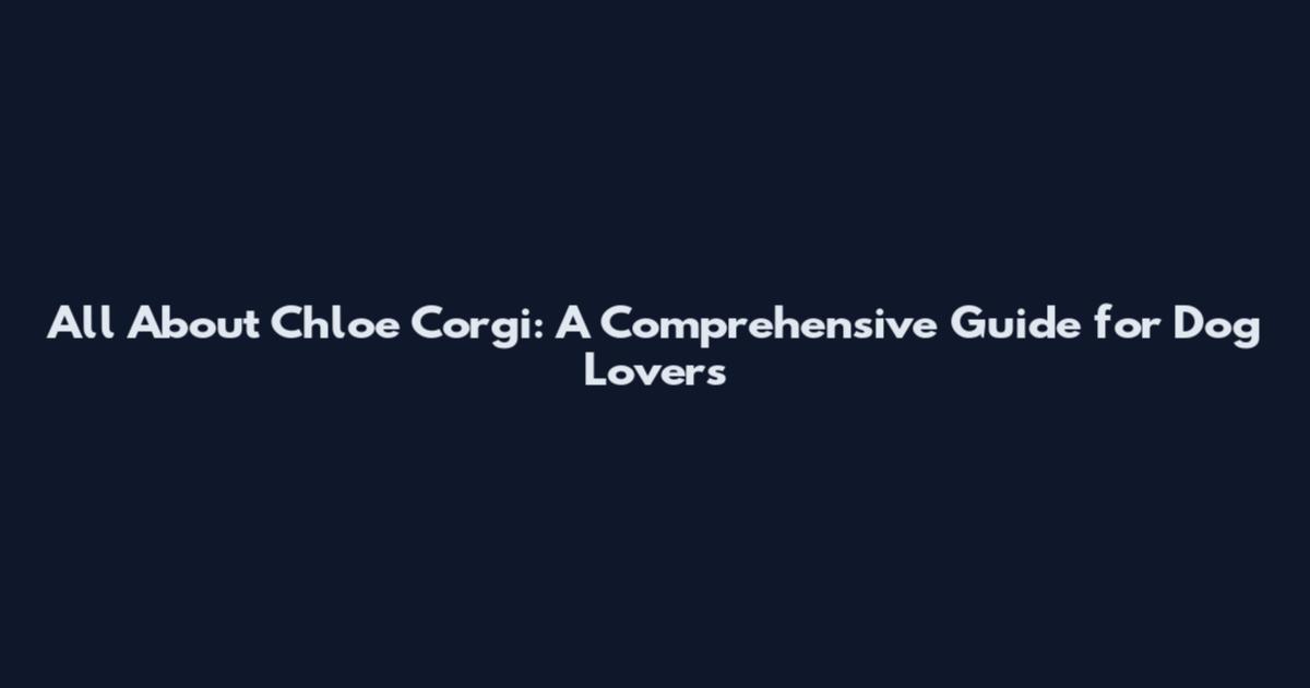 All About Chloe Corgi: A Comprehensive Guide for Dog Lovers