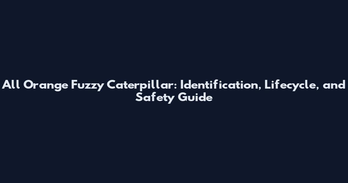 All Orange Fuzzy Caterpillar: Identification, Lifecycle, and Safety Guide