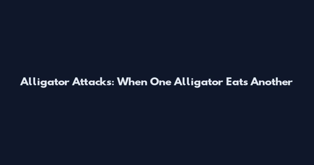 Alligator Attacks: When One Alligator Eats Another