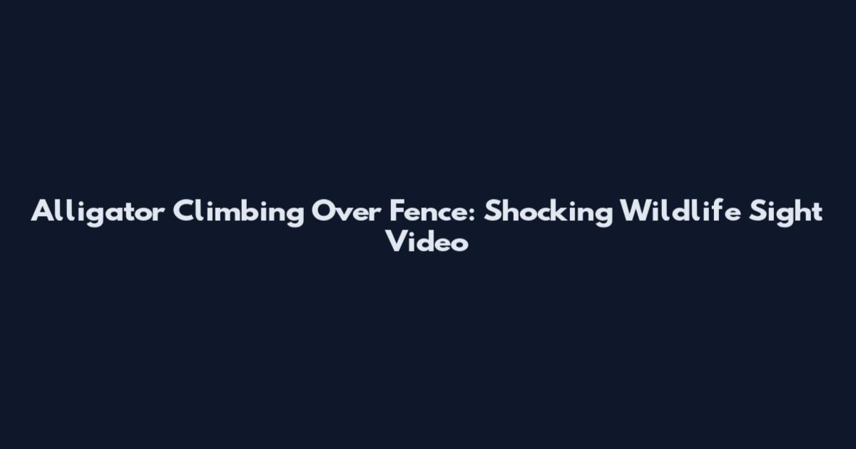 Alligator Climbing Over Fence: Shocking Wildlife Sight Video