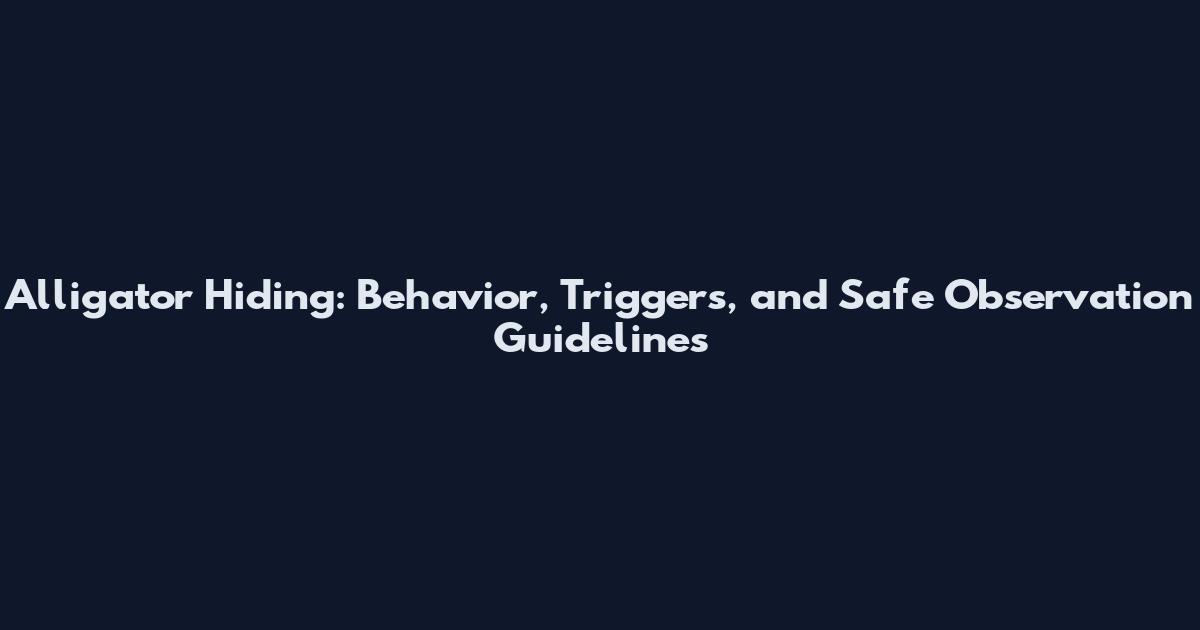 Alligator Hiding: Behavior, Triggers, and Safe Observation Guidelines