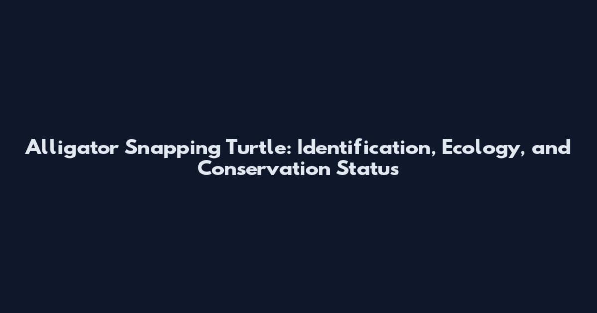 Alligator Snapping Turtle: Identification, Ecology, and Conservation Status