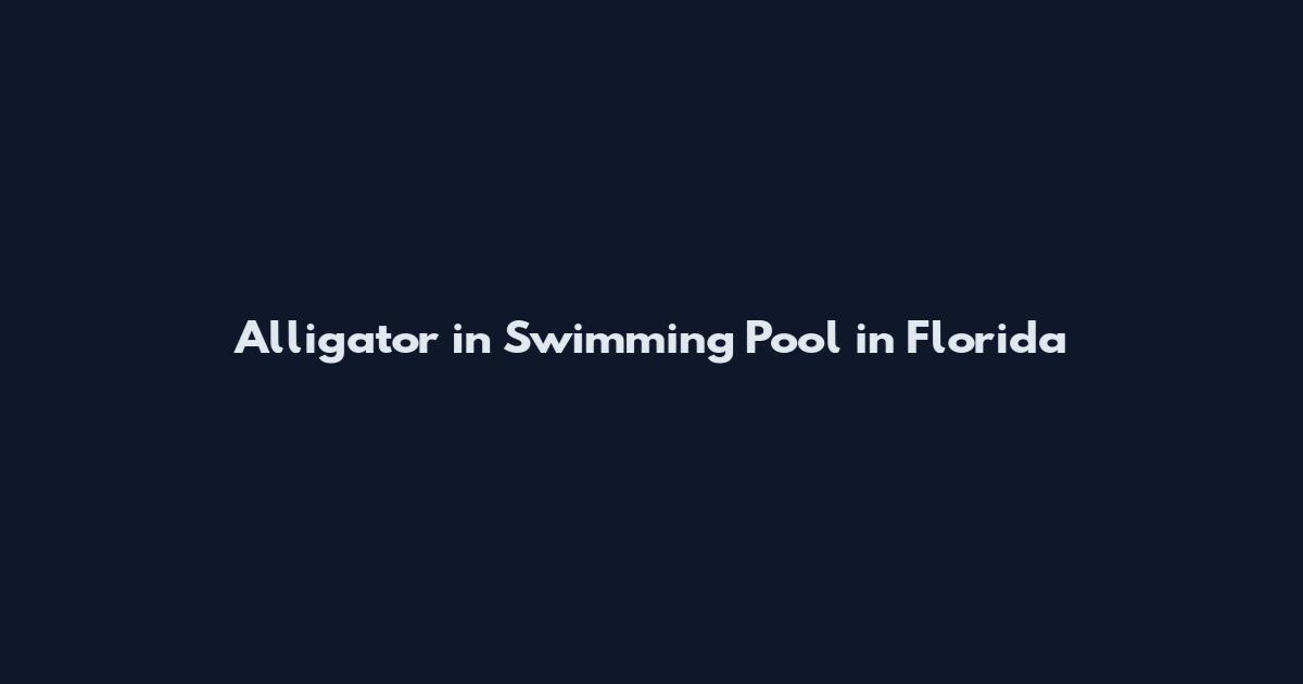 Alligator in Swimming Pool in Florida