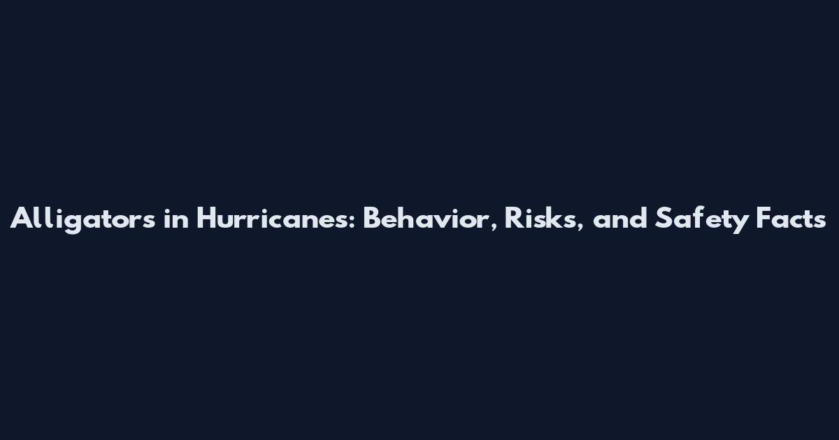 Alligators in Hurricanes: Behavior, Risks, and Safety Facts