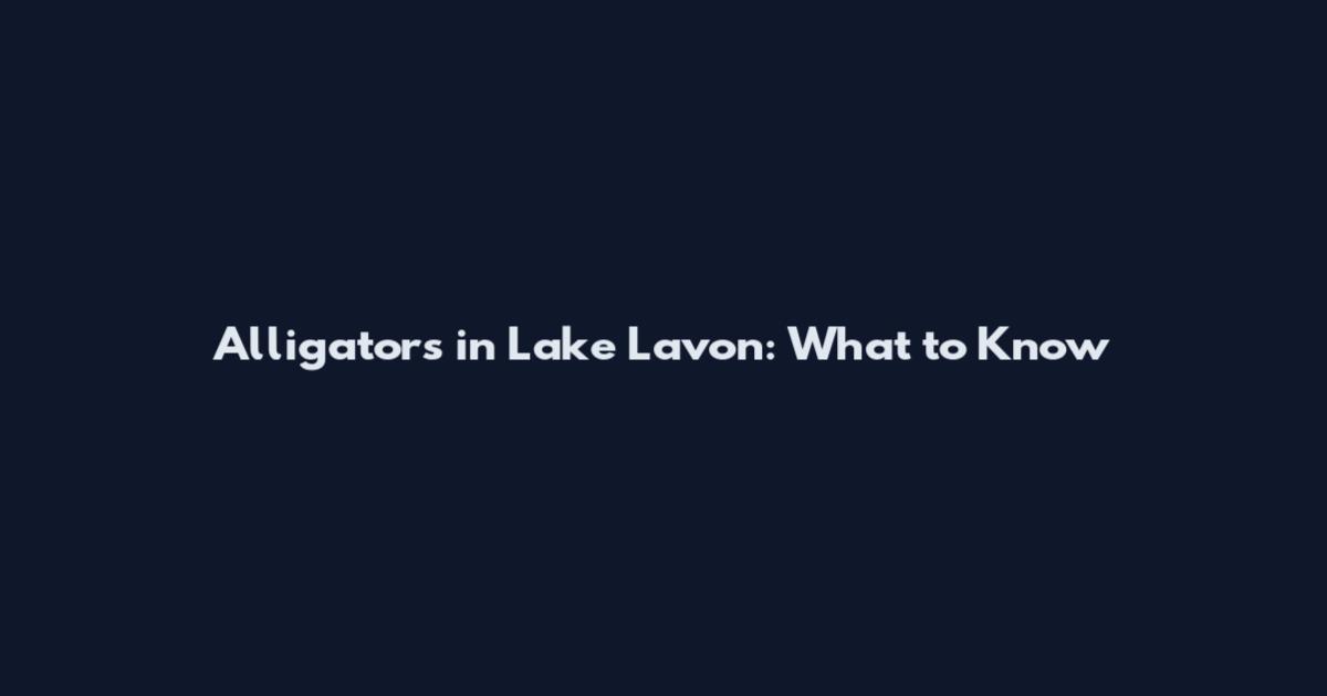 Alligators in Lake Lavon: What to Know