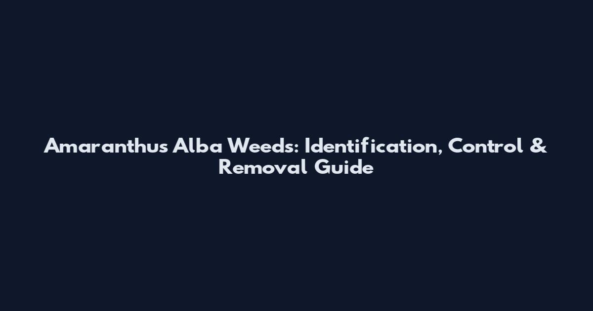 Amaranthus Alba Weeds: Identification, Control & Removal Guide