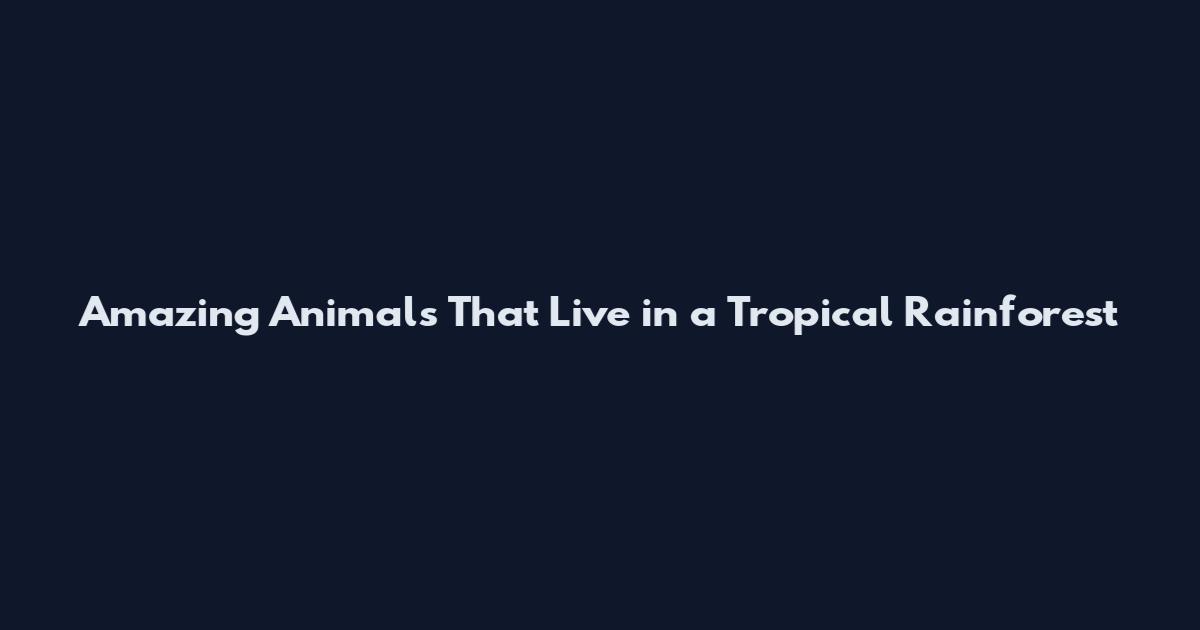 Amazing Animals That Live in a Tropical Rainforest