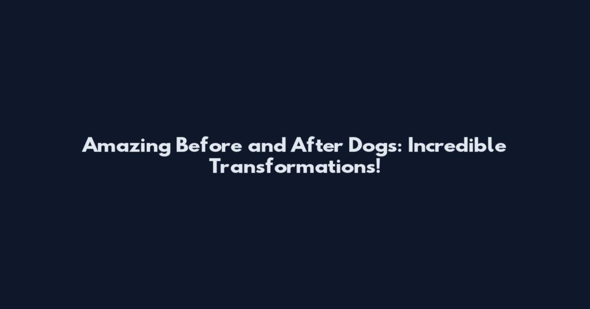 Amazing Before and After Dogs: Incredible Transformations!