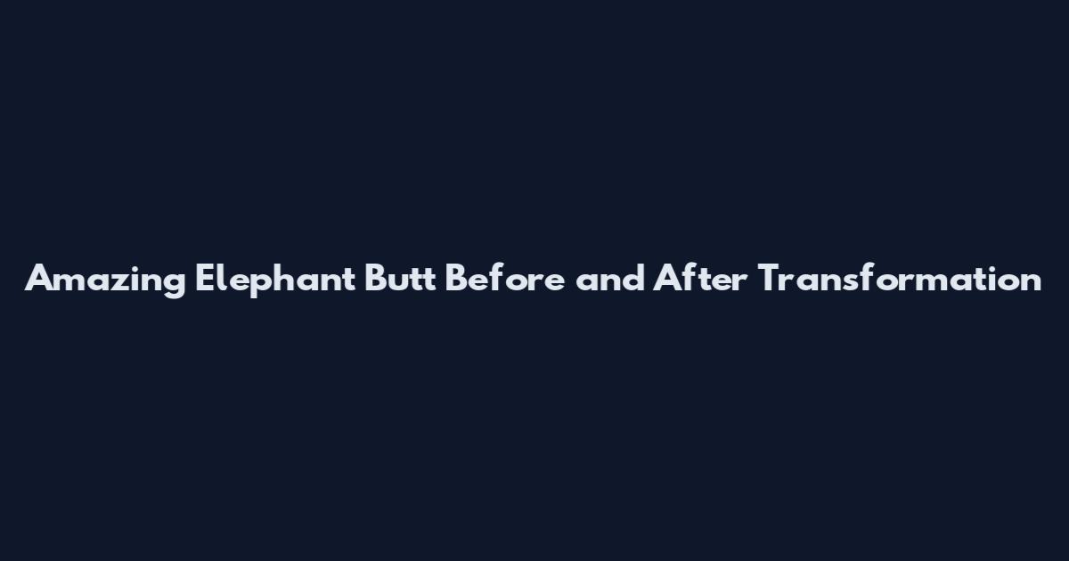 Amazing Elephant Butt Before and After Transformation