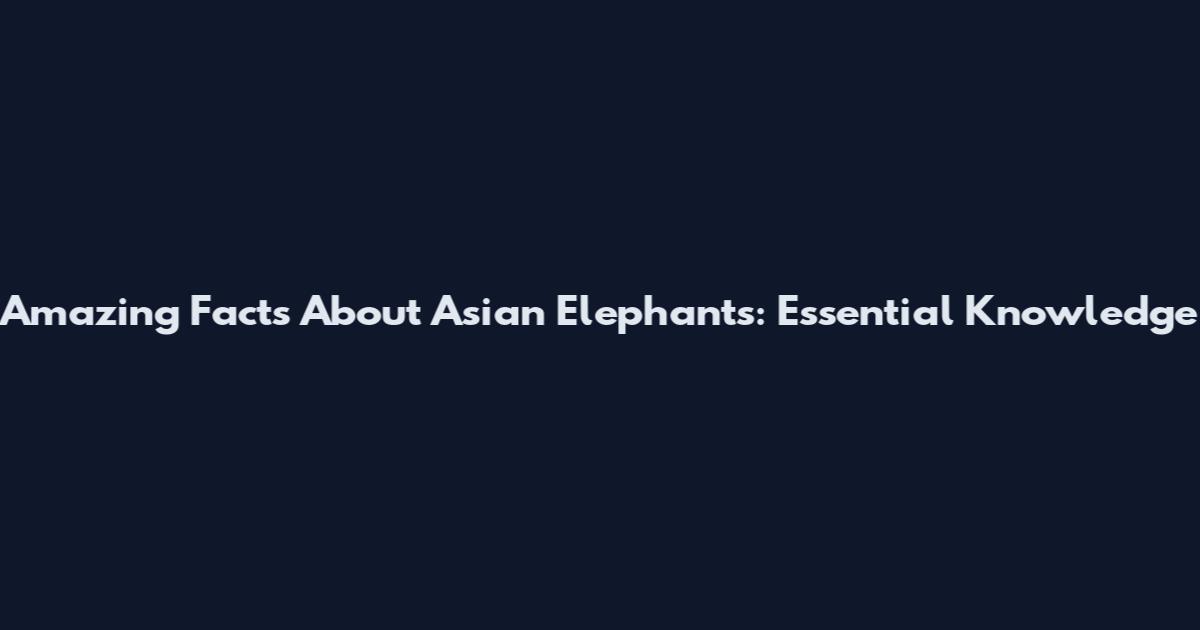 Amazing Facts About Asian Elephants: Essential Knowledge