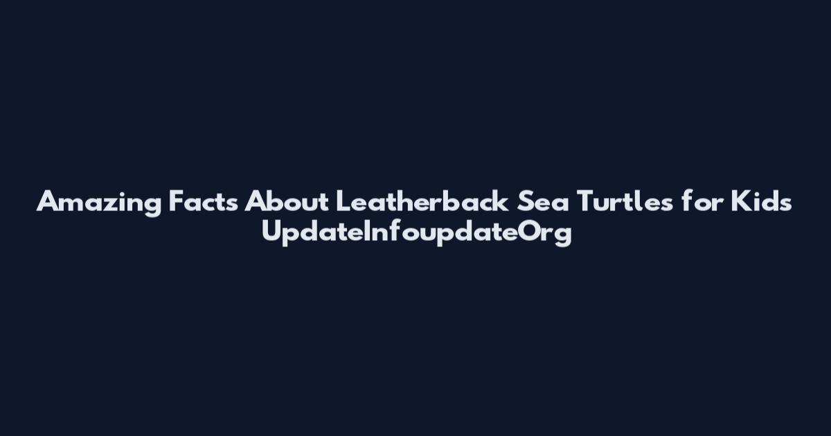 Amazing Facts About Leatherback Sea Turtles for Kids UpdateInfoupdateOrg