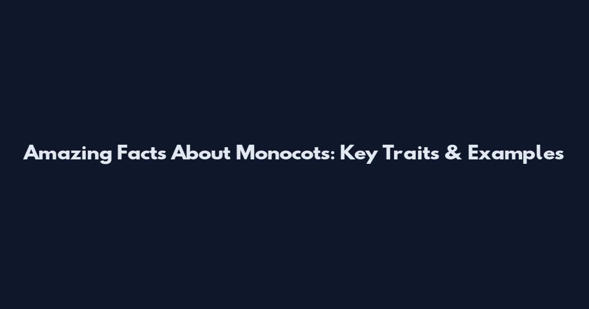 Amazing Facts About Monocots: Key Traits & Examples
