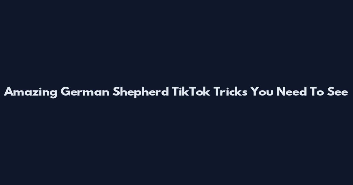 Amazing German Shepherd TikTok Tricks You Need To See