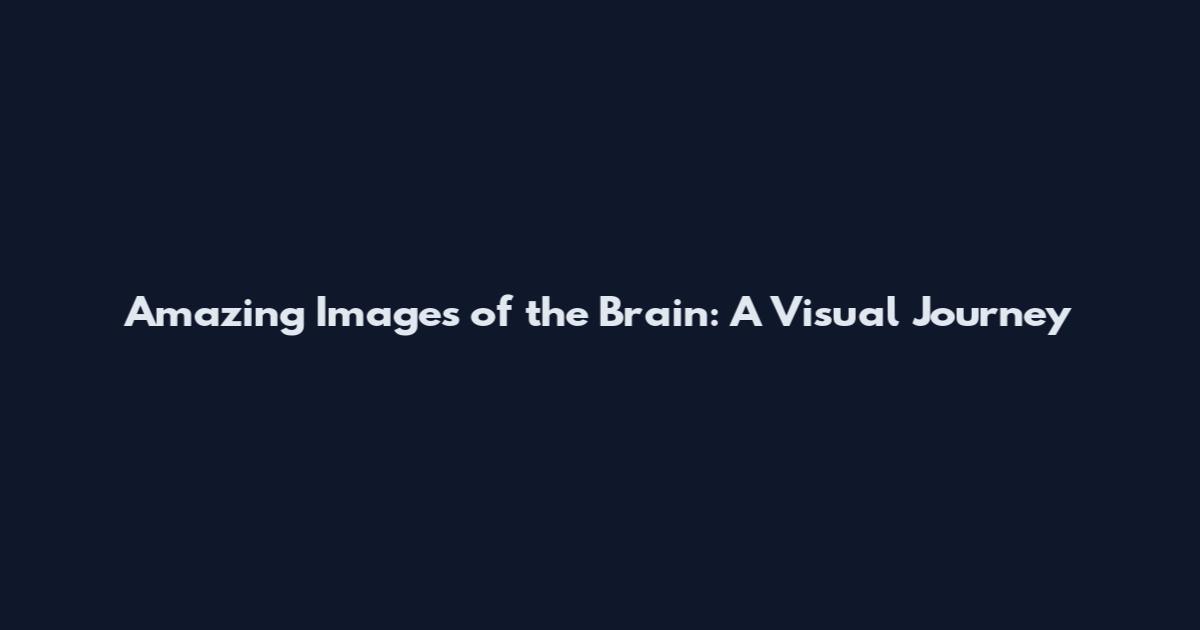 Amazing Images of the Brain: A Visual Journey