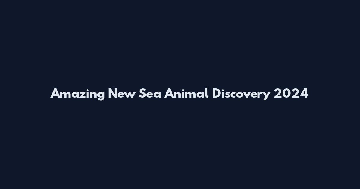 Amazing New Sea Animal Discovery 2024
