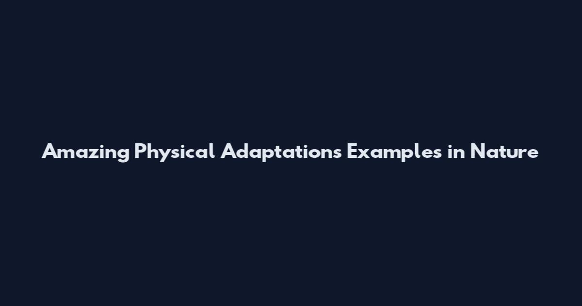 Amazing Physical Adaptations Examples in Nature