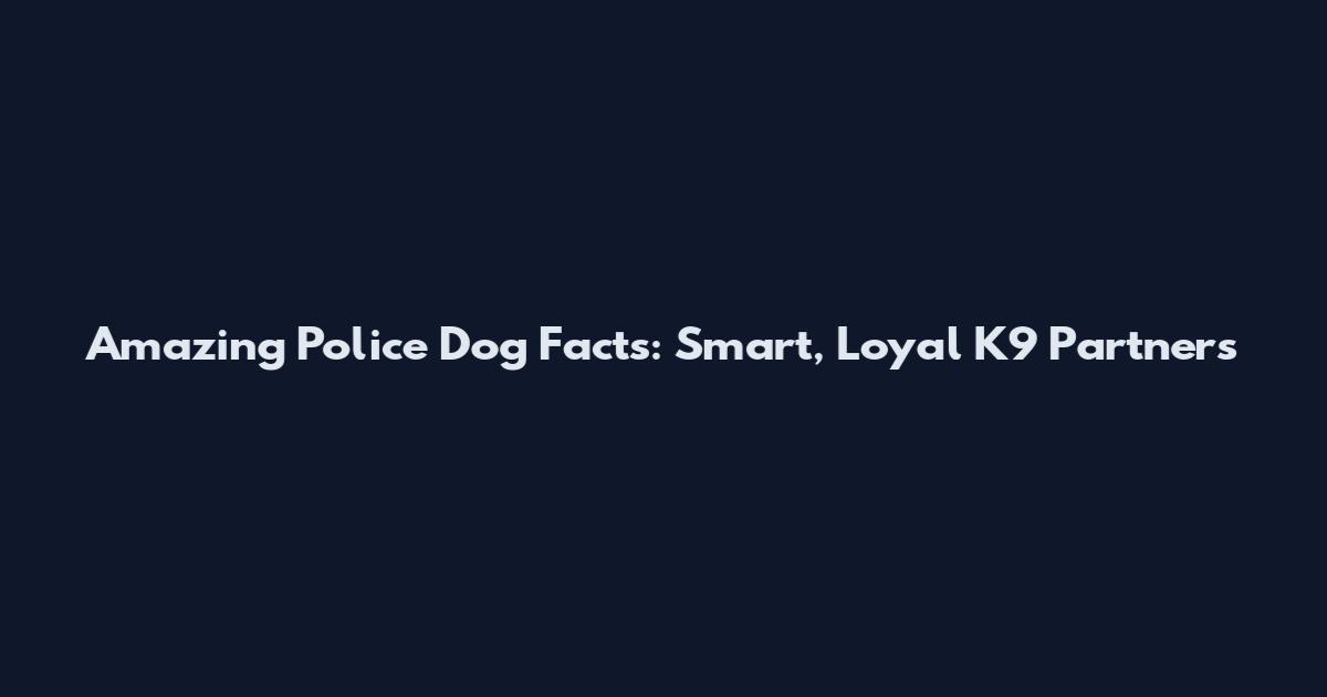Amazing Police Dog Facts: Smart, Loyal K9 Partners