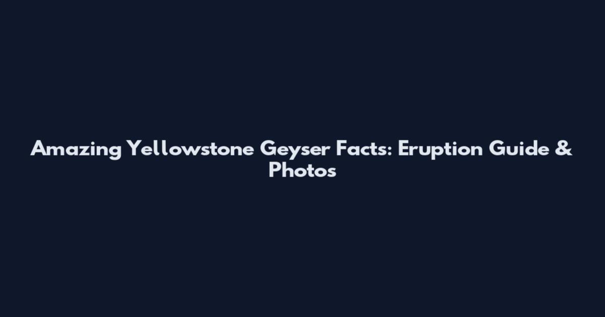 Amazing Yellowstone Geyser Facts: Eruption Guide & Photos