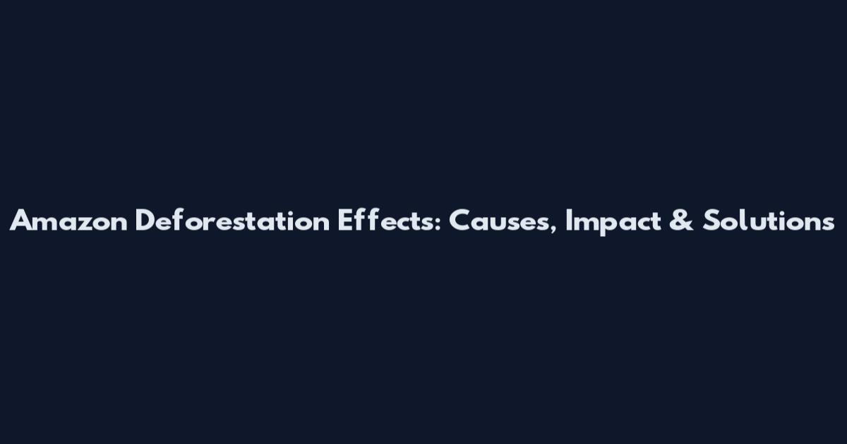 Amazon Deforestation Effects: Causes, Impact & Solutions