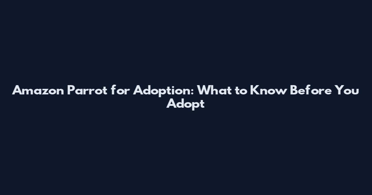 Amazon Parrot for Adoption: What to Know Before You Adopt