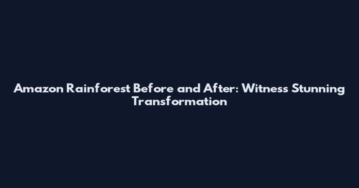 Amazon Rainforest Before and After: Witness Stunning Transformation