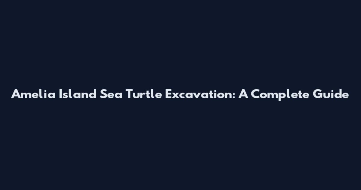 Amelia Island Sea Turtle Excavation: A Complete Guide
