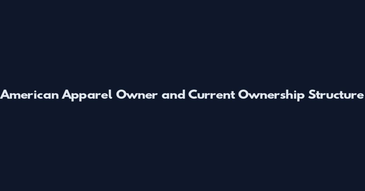 American Apparel Owner and Current Ownership Structure