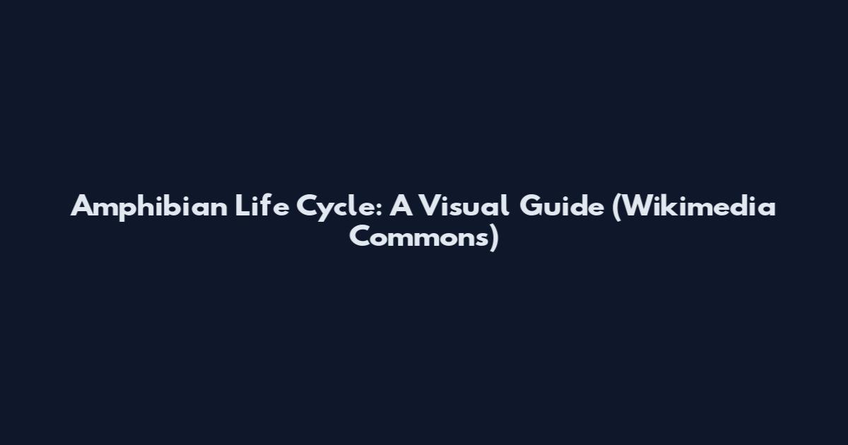 Amphibian Life Cycle: A Visual Guide (Wikimedia Commons)