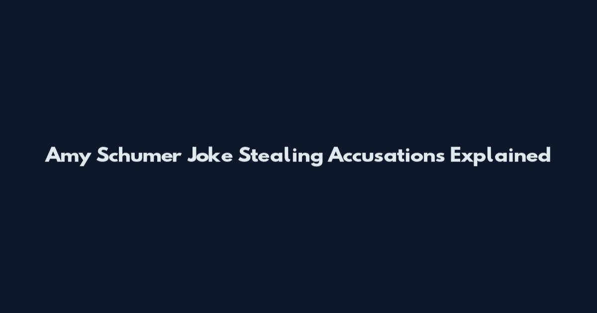 Amy Schumer Joke Stealing Accusations Explained